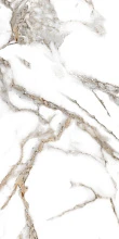 1130G Oro Bianco керамогранит 120x60см полированный Absоlut Gres 1130G